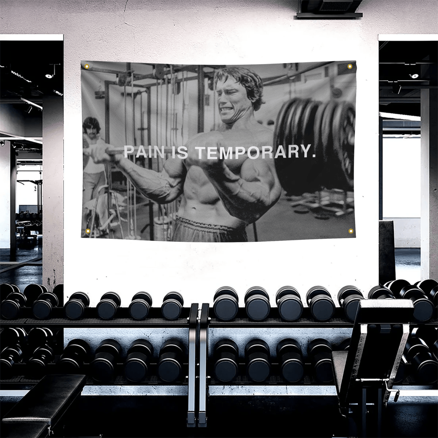 Arnold Schwarzenegger inspires resilience with 'Pain Is Temporary' on this motivational gym flag