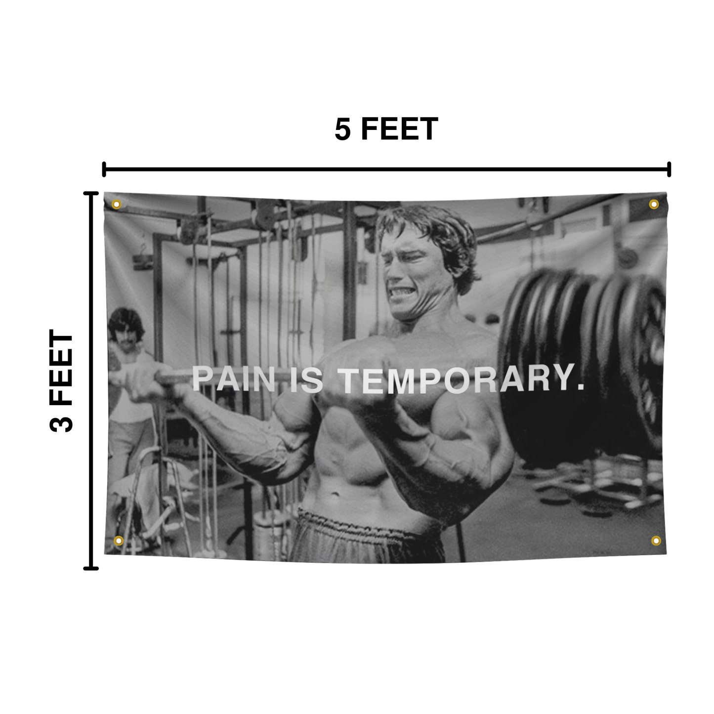 Inspirational 'Pain Is Temporary' gym flag featuring Arnold Schwarzenegger, perfect for home gyms.